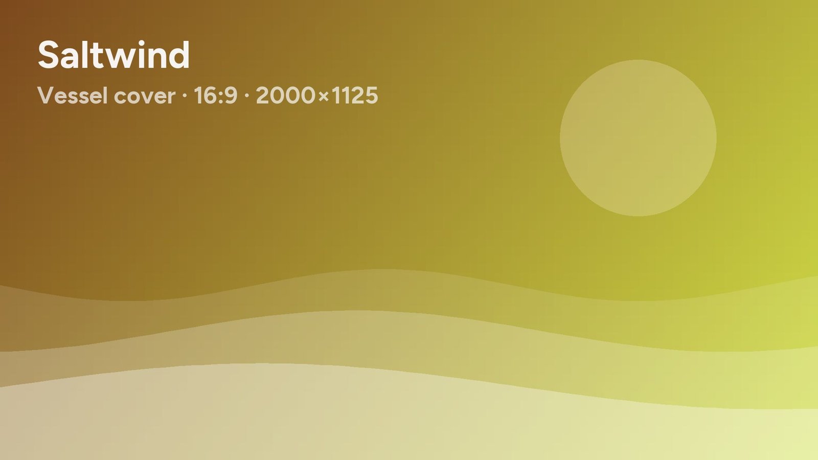 Placeholder cover image of Saltwind
